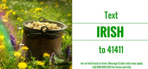 Irish toast or trivia